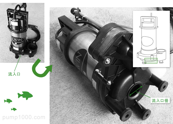 賢い水中ポンプの選び方