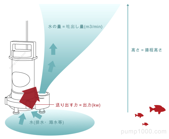 賢い水中ポンプの選び方